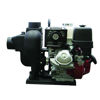 Picture of PUMP BANJO 300PIH13 3" CAST IRON WITH 13HP HONDA