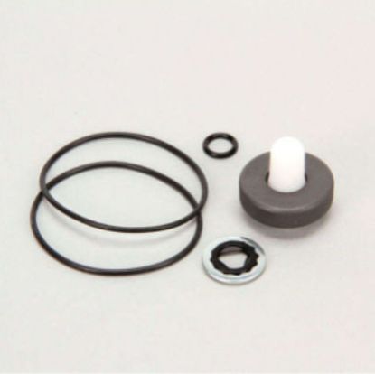Picture of ACE PUMP  RK-BAC-75-HYD-L REPAIR KIT