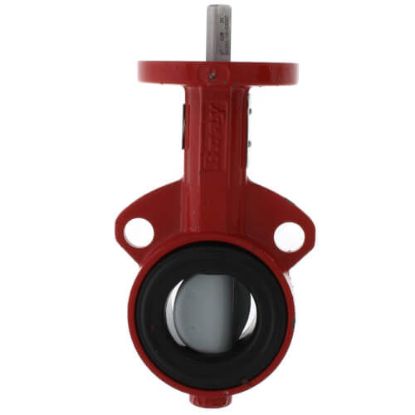 Picture of VALVE BRAY 1" BUTTERFLY