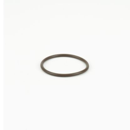 Picture of STRAINER BANJO T LST100-GV POLY 1" CAP GASKET VITON