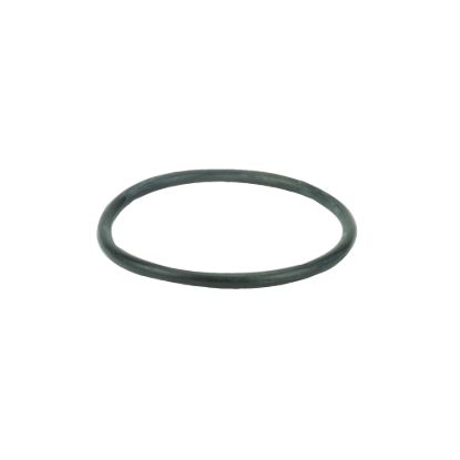 Picture of STRAINER BANJO Y LS150-G POLY 1-1/2" & 2" CAP GASKET