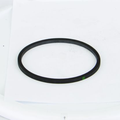 Picture of STRAINER BANJO T LST200-GV POLY 2" CAP GASKET VITON