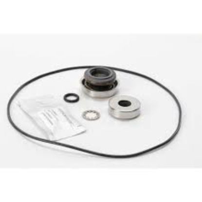 Picture of ACE PUMP RK-FMCSC-150 REPAIR KIT