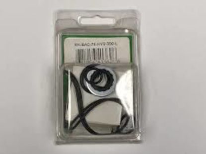 Picture of ACE PUMP RK-BAC-75-HYD-300L