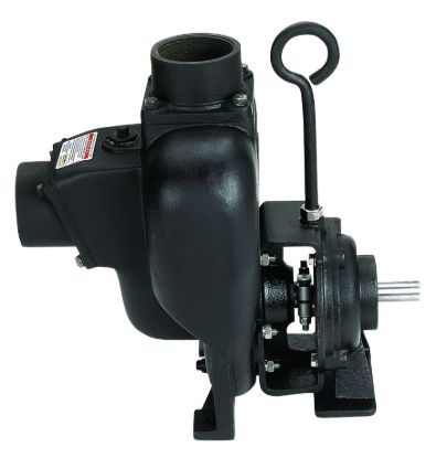 Picture of PUMP BANJO 300PBI CAST IRON W/ PEDESTAL