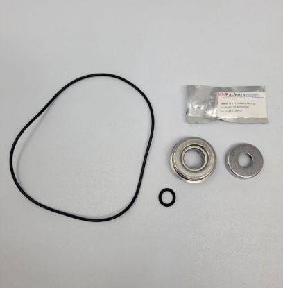 Picture of ACE PUMP REPAIR KIT RK-FMCSC