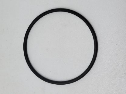 Picture of BLACKMER 702004 BV 200 O-RING
