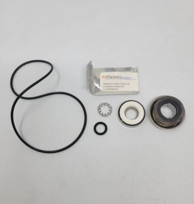 Picture of ACE PUMP REPAIR KIT RK-FMC