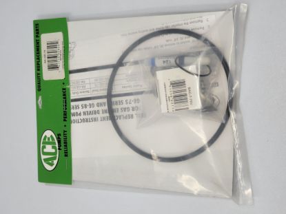Picture of ACE PUMP RK-GE-75 REPAIR KIT