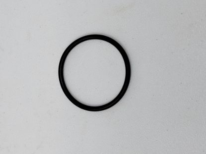 Picture of HYPRO 1720-0019 O-RING