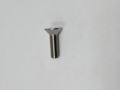 Picture of BANJO 18106 WEAR PLATE SCREW