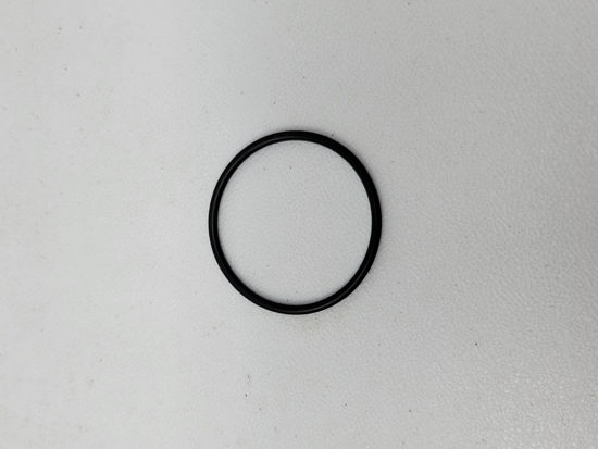 Picture of NH3 SQUIBB TAYLOR P5-904-RO O-RING FOR IB-125-1000: 1-1/4" INLINE BREAKAWAY