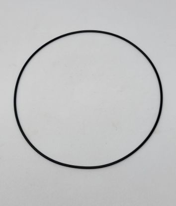 Picture of ACE PUMP BAC-4-150 O-RING