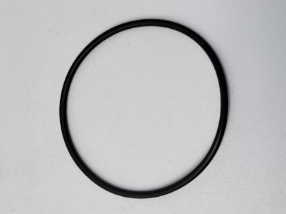 Picture of STRAINER BANJO Y MLS300ECG POLY MANIFOLD 3" END CAP GASKET