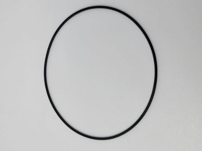Picture of ACE PUMP BAC-4A O-RING
