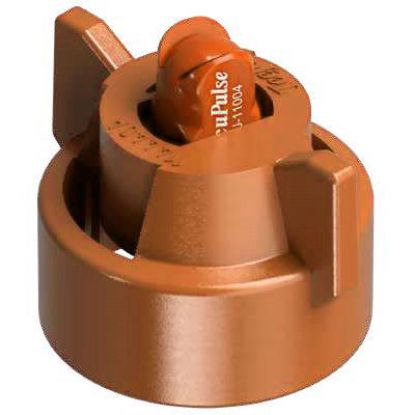 Picture of NOZZLE APTJ-11005VP-CE TEEJET ACCUPULSE TWINJET TIP/CAP COMBO