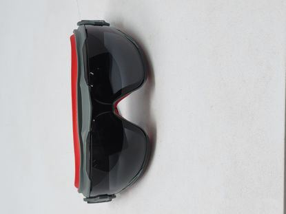 Picture of GOGGLES RADNOR TINTED